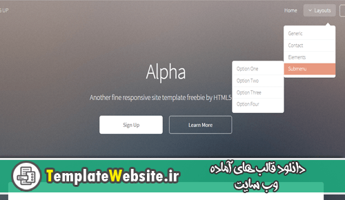 دانلود رایگان قالب زیبای Alpha برای وب سایت های شرکتی